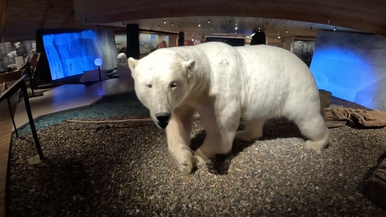 Svalbard Museum in Longyearbyen, Svalbard