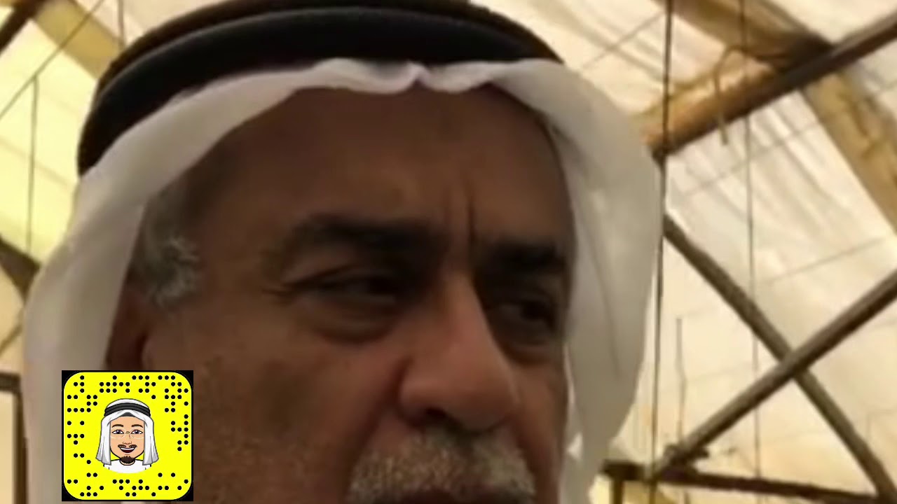 شركة  ساباد  - انتاج التين بالطريقة اليابانية - عبدالجبار بومره