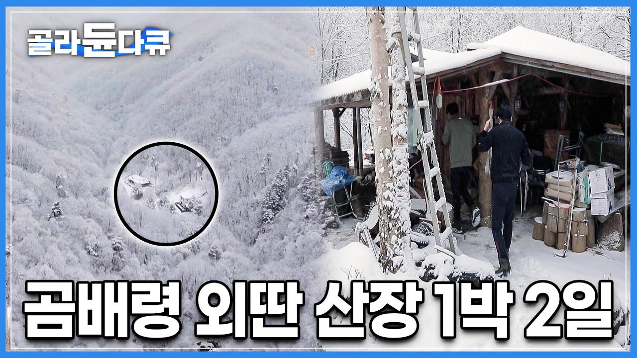 3월에도 눈이 1m넘게 내리는 곰배령|그중에서도 가장 안쪽에 자리한 곳,20년전 지어진 작은 산장을 1년전에 산 부부 | 한국기행 | #골라듄다큐
