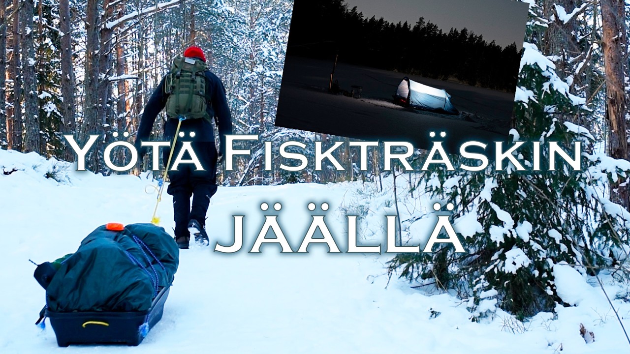 Kuutamoyö Fiskträskin jäällä | Sipoonkorven kansallispuisto