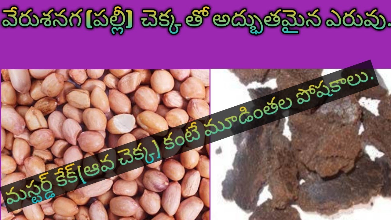 56.Groundnut cake fertilizer. Groundnut cake liquid fertilizer.