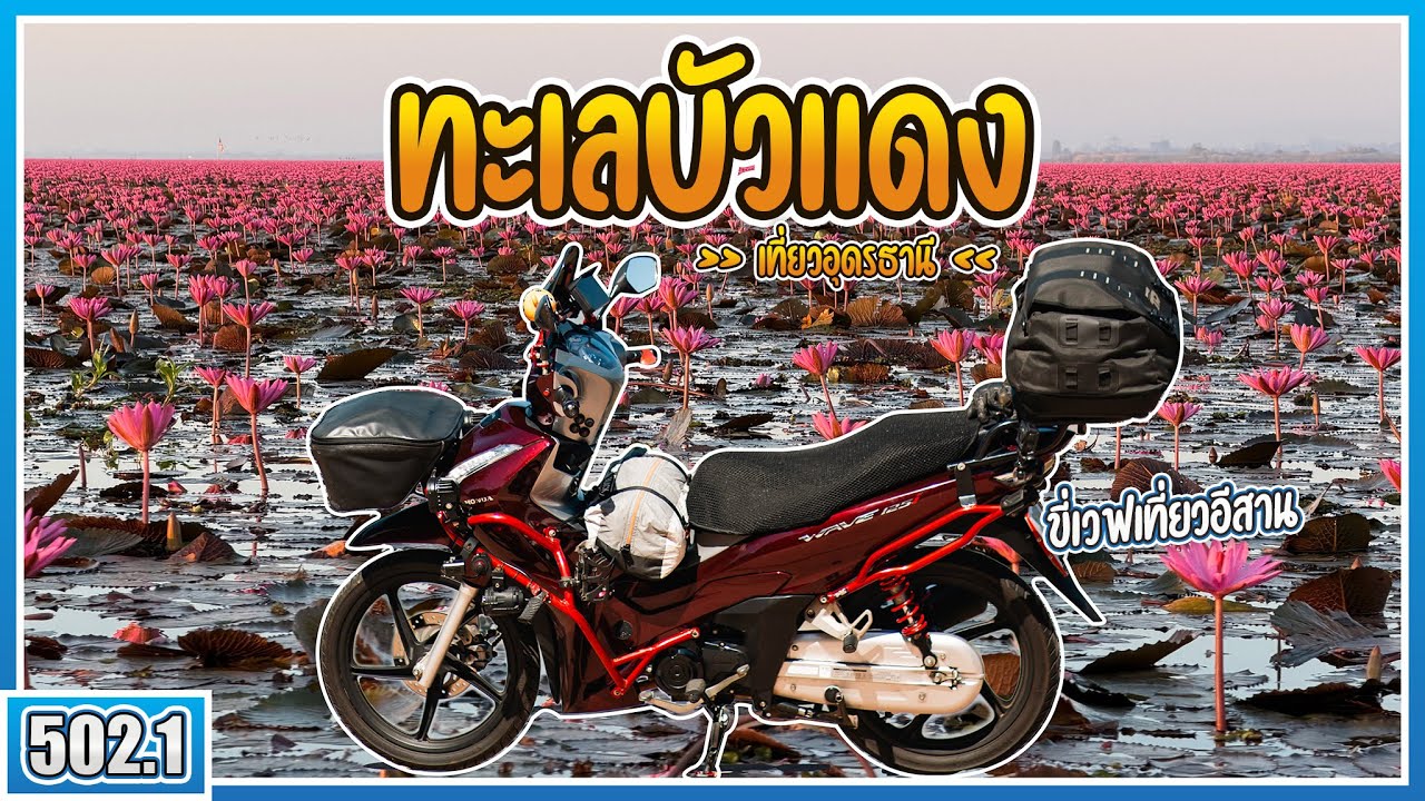 ( EP.502.1 ) ทะเลบัวแดงสวยมาก! ถูไถขี่ Wave125i กับน้ำมันเครื่อง Eneos ไปเที่ยวอุดรธานี Unseen สุดๆ