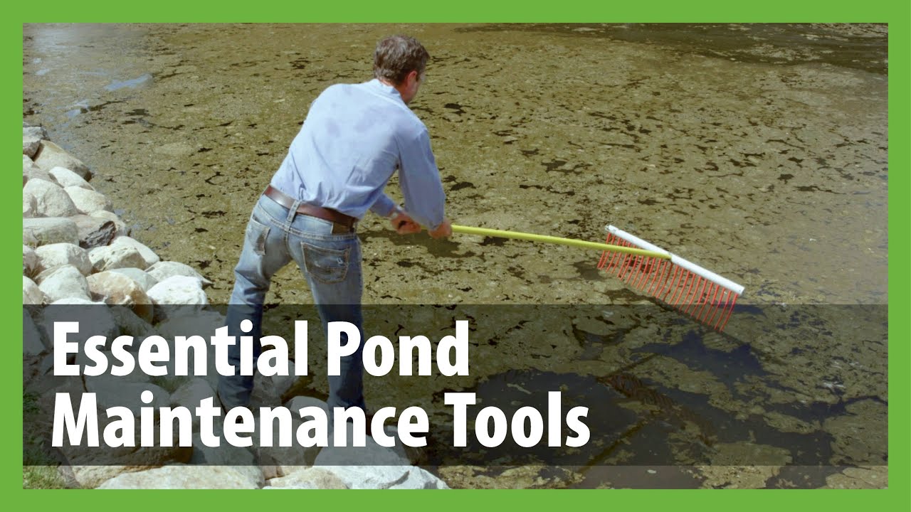 Essential Tools for Pond Maintenance - Pond Sprayer, Pond Skimmer, Pond Cutter, Pond Rake & More