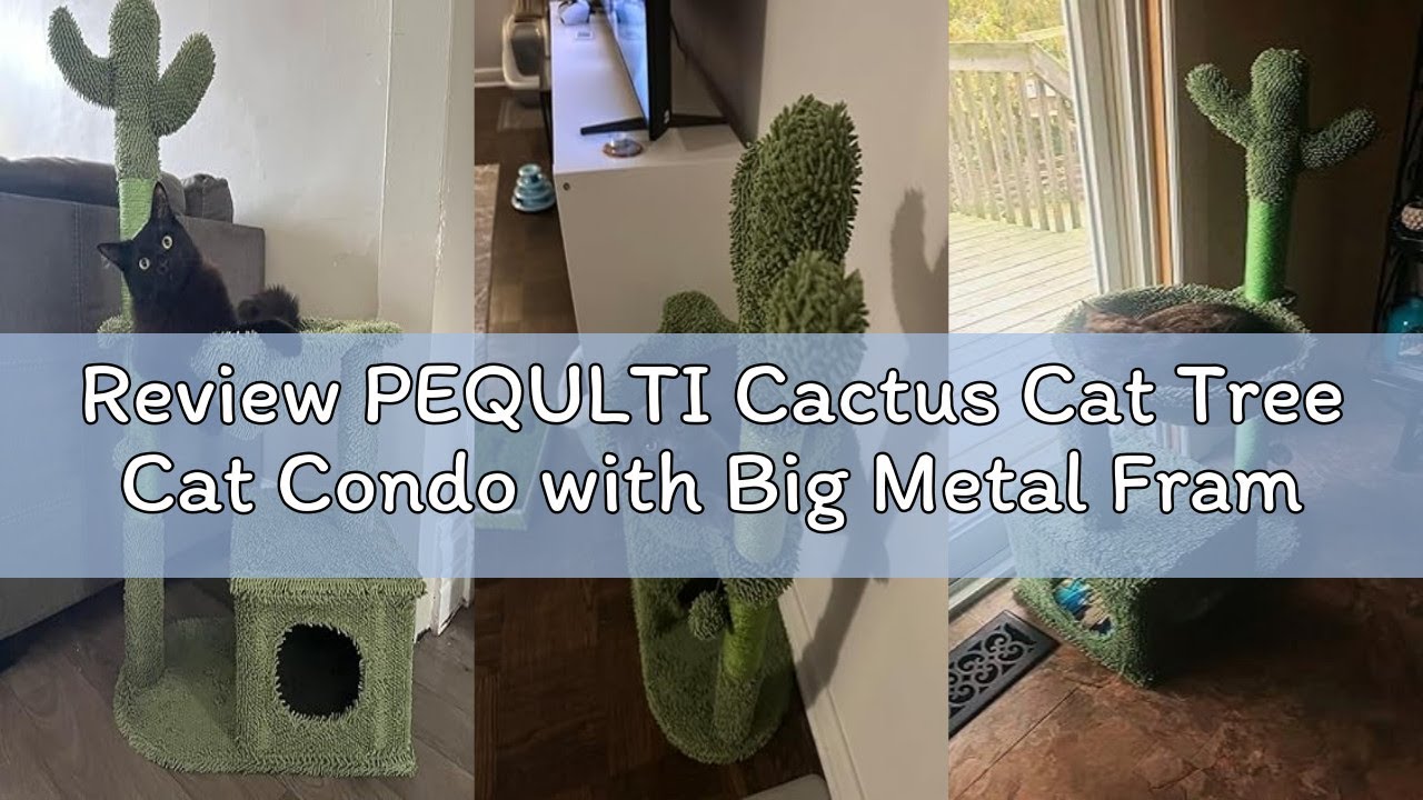 Review PEQULTI Cactus Cat Tree Cat Condo with Big Metal Frame Hammock, Cat Scratching Post for Indoo