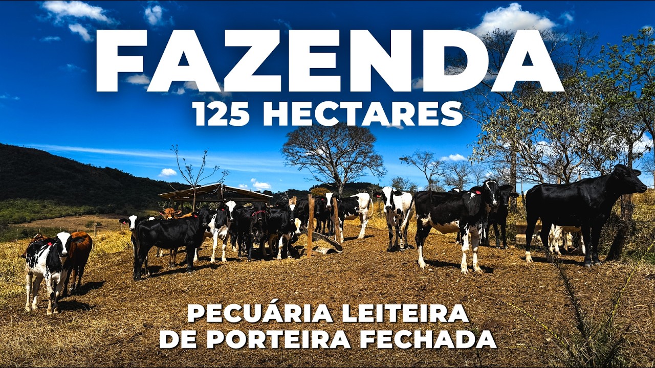 FAZENDA À VENDA 125 HECTARES, PORTEIRA FECHADA, ESTRUTURA COMPLETA PARA PECUÁRIA LEITEIRA