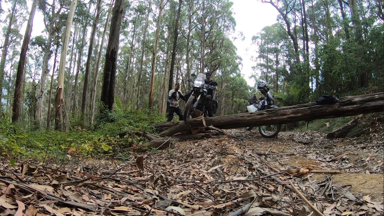 Weekend Adventure ride exploring Lake Eildon area part 2