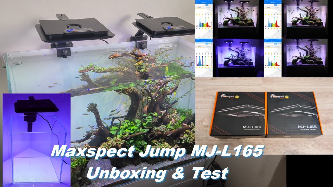 Maxspect JUMP MJ-L165 Lampa do akwarium morskiego i nie tylko Unboxing & Test