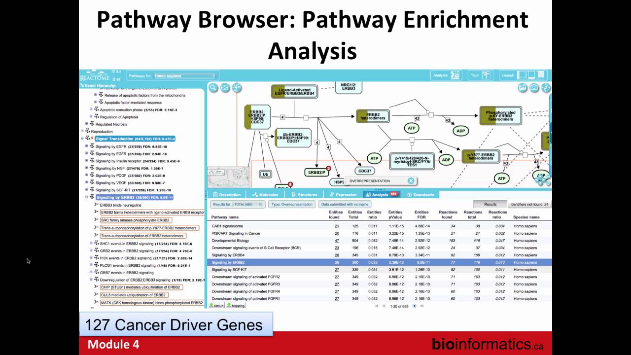 More Depth on Pathway and Network Analysis