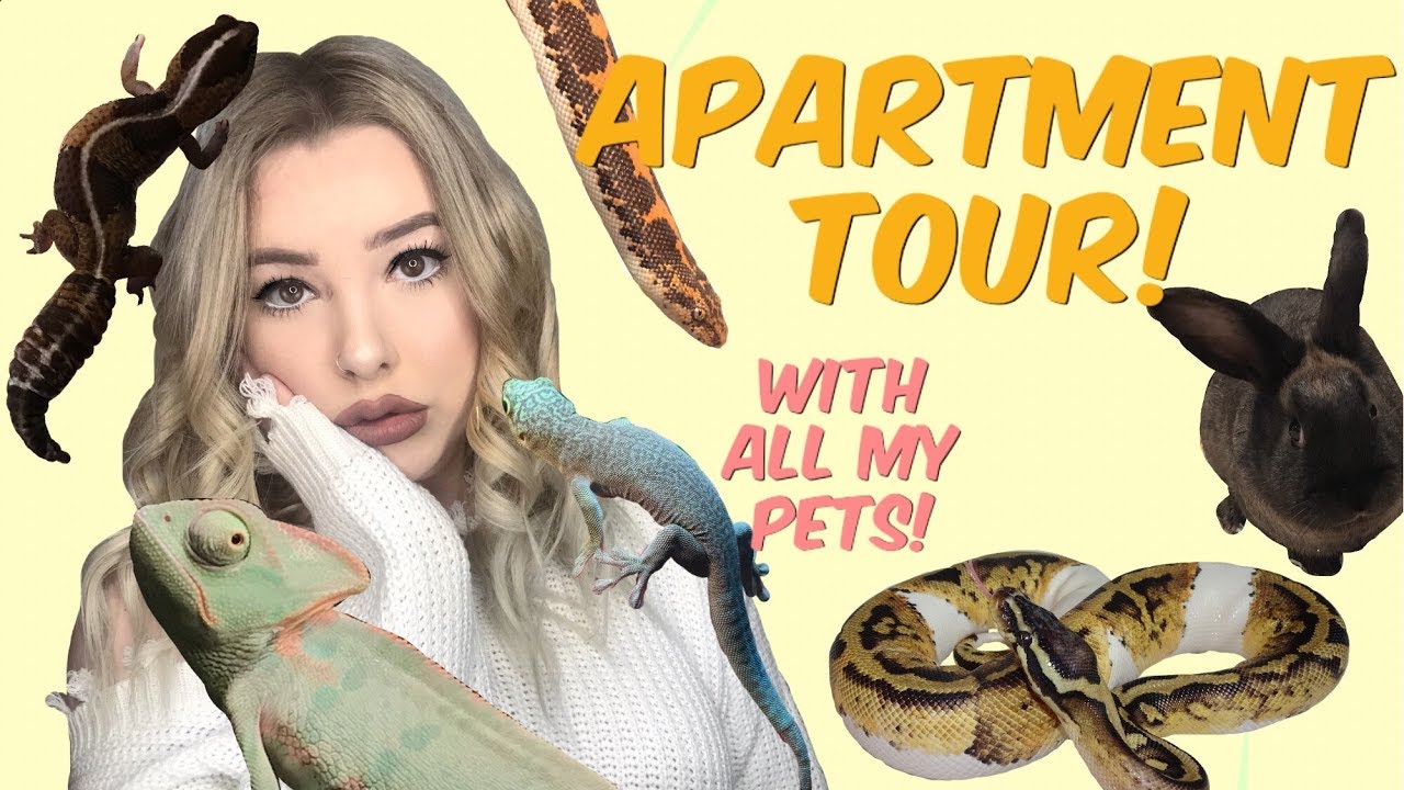 TOUR OF MY PERSONAL ZOO! (Apartment tour + 26 animals!)