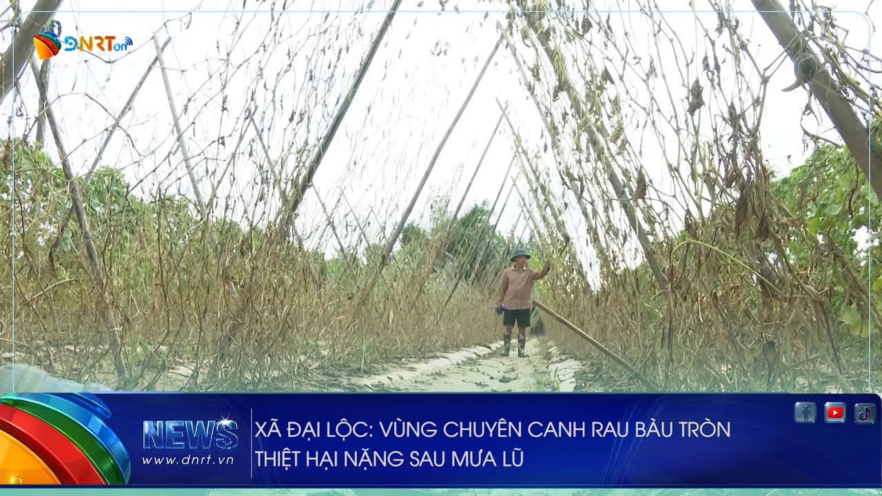 X&Atilde; ĐẠI LỘC V&Ugrave;NG CHUY&Ecirc;N CANH RAU B&Agrave;U TR&Ograve;N THIỆT HẠI NẶNG SAU MƯA LŨ