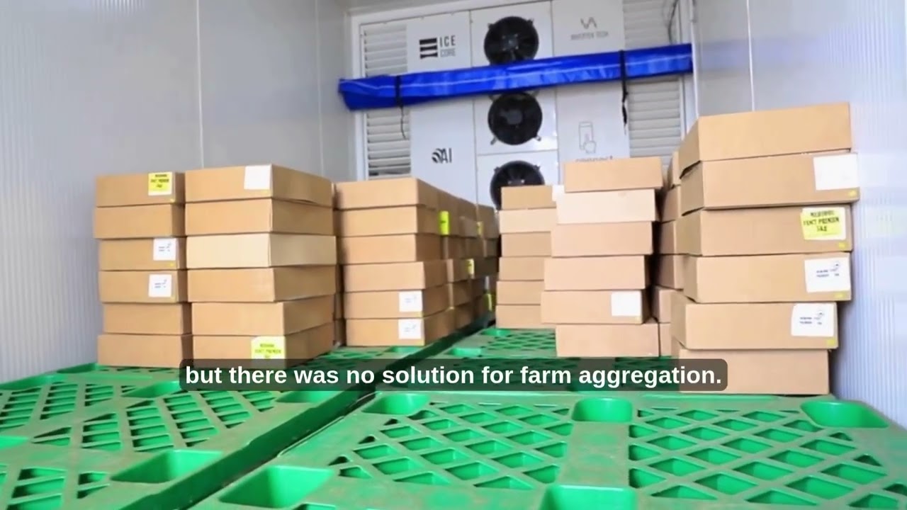 Cold storage and food insecurity