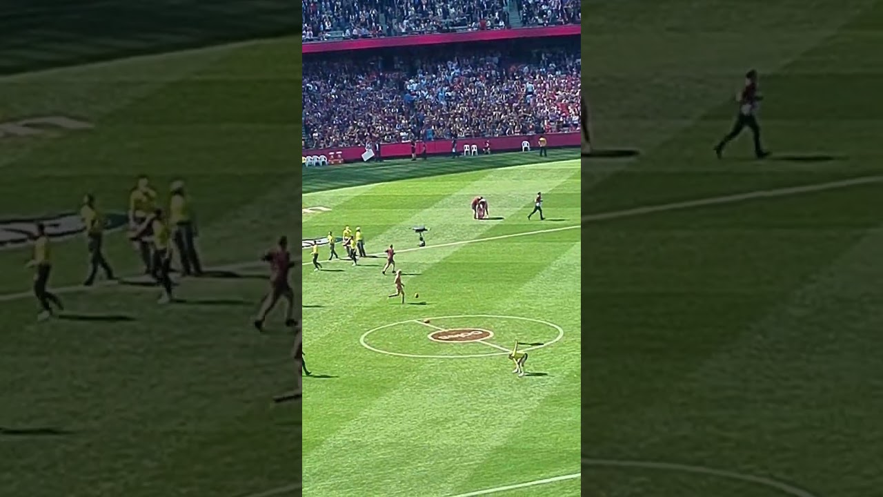 swans lions run out for afl grand final 2024 go lions