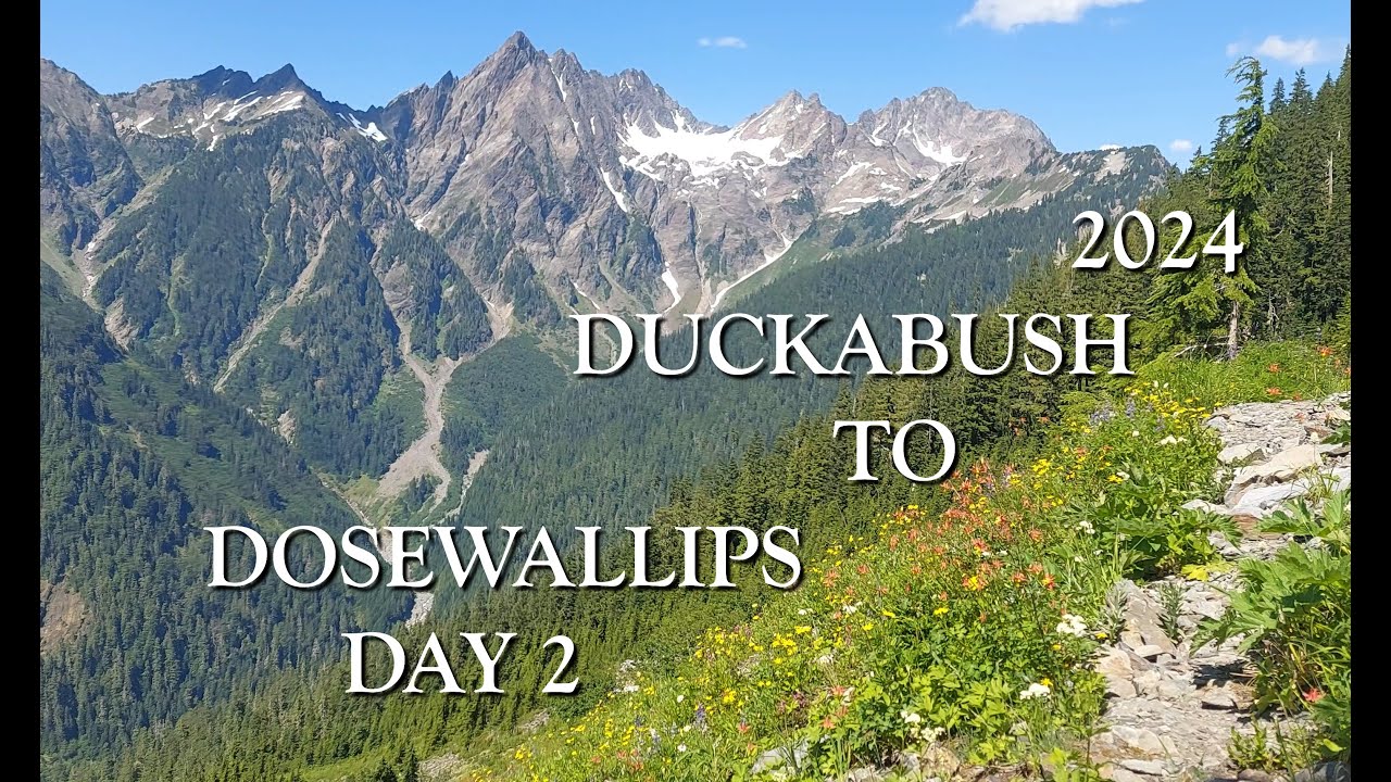 2024 Duckabush to Dosewallips Day 2 | Olympic National Park | Daniel J. Evans Wilderness