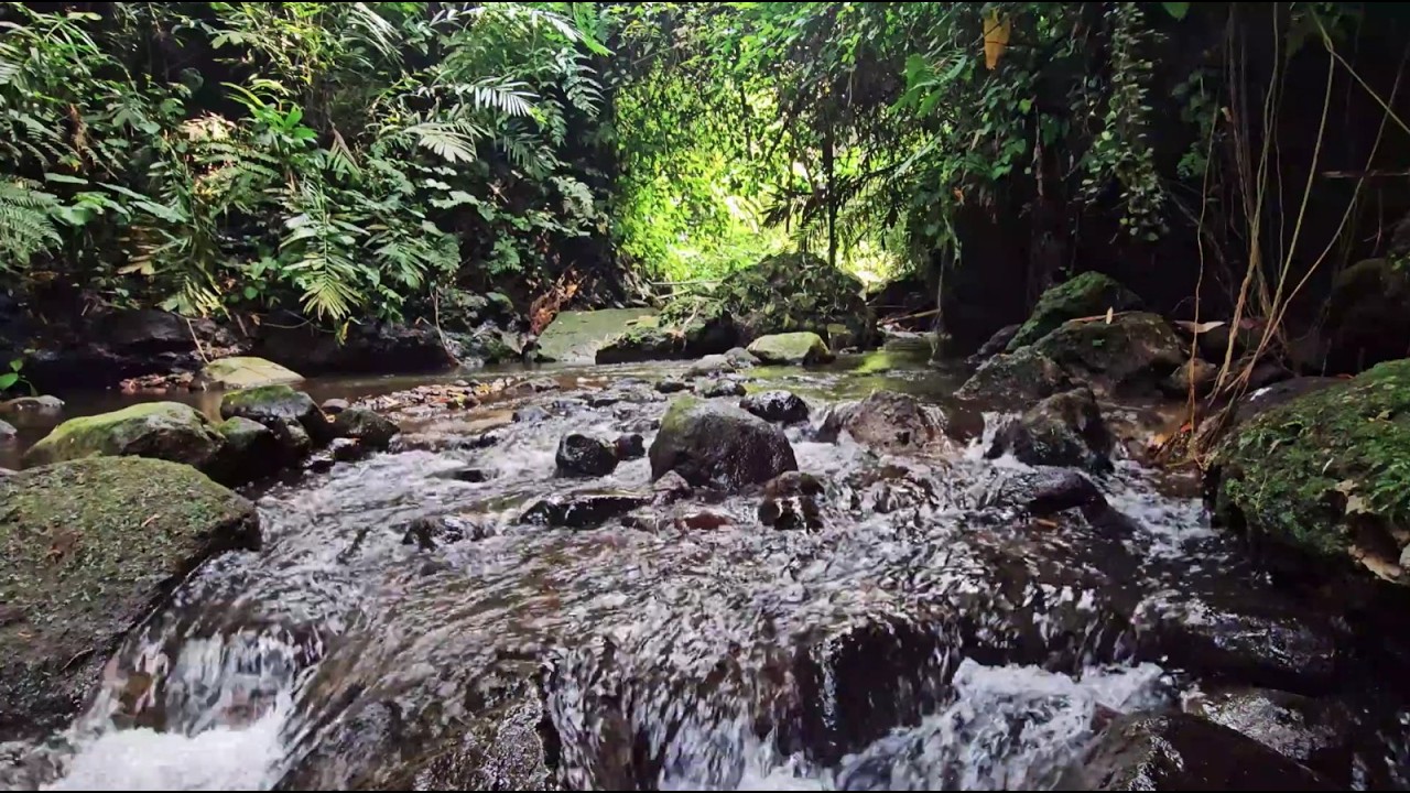 Relaxing River Rapids Sound 🌊 Natural White Noise for Deep Sleep & Stress Relief