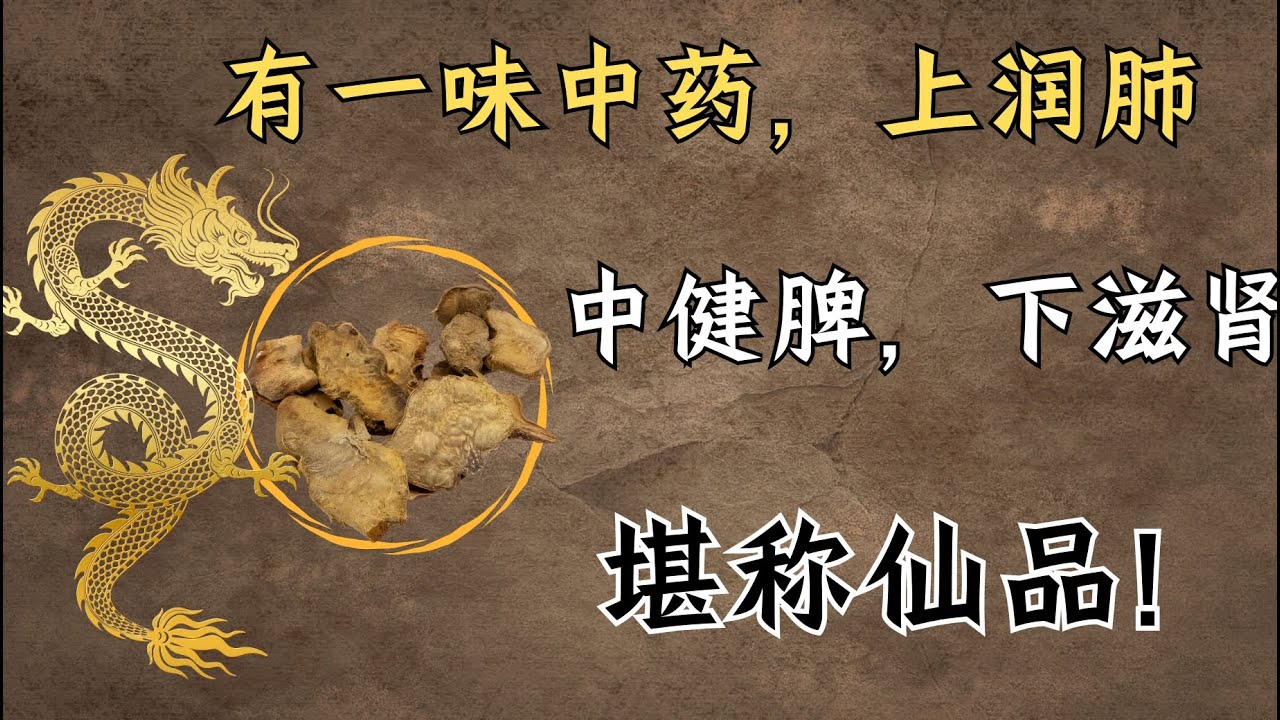 有一味中药，上润肺，中健脾，下滋肾，堪称仙品！| 中医养生｜身体调理｜气血疏通｜经络养生｜针灸理疗｜【中医针灸理疗师Jimmy】