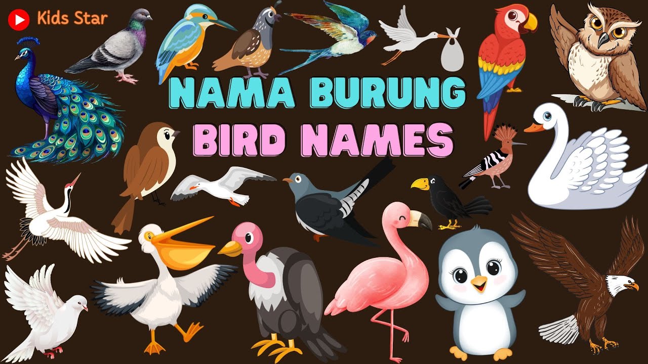 BELAJAR MENGENAL NAMA-NAMA BURUNG | LEARNING THE NAME OF BIRDS | ANIMALS NAME | NAMA BINATANG HEWAN