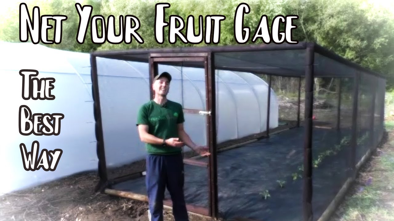 How to build a fruit cage | Brassica net house -  Protect your crop from birds & butterflies