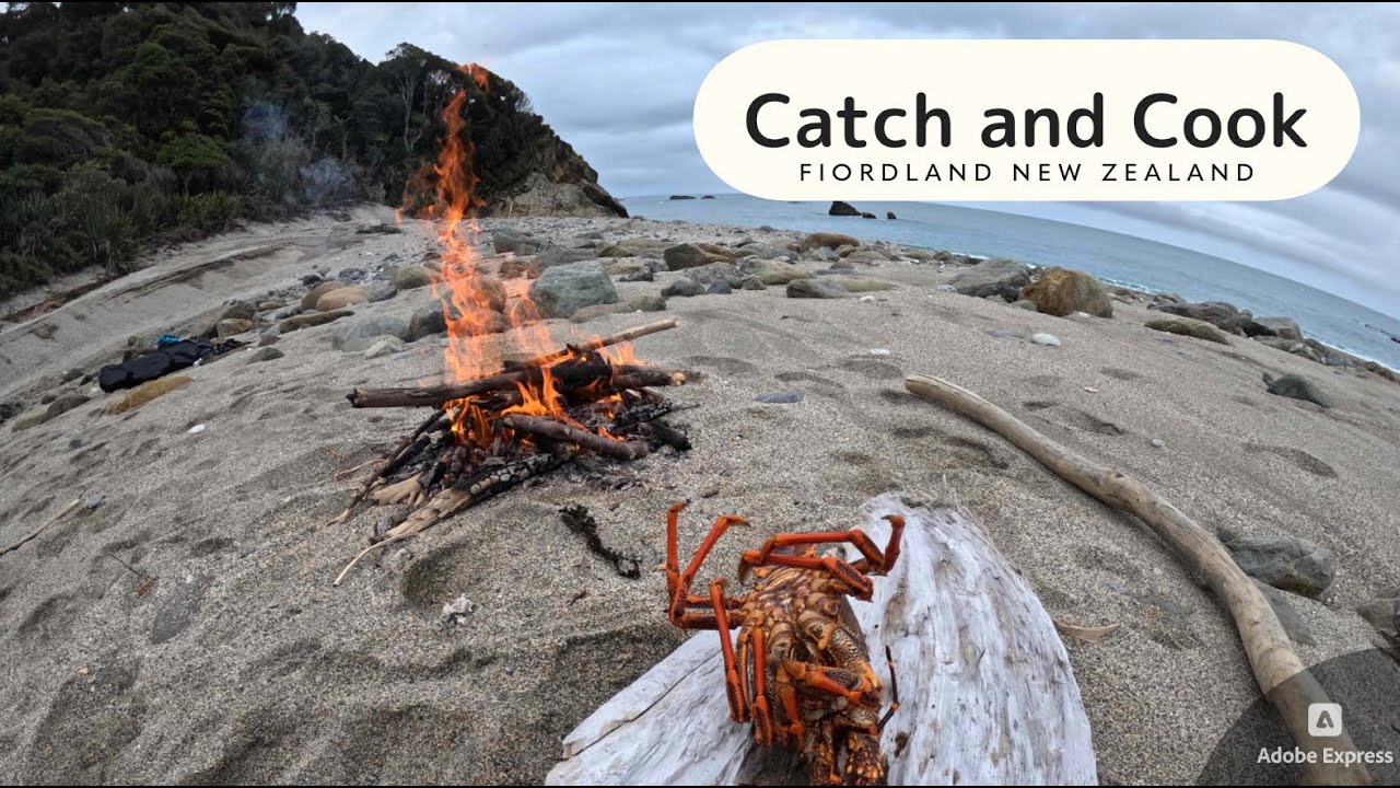 Catch and Cook ALONE in Fiordland New Zealand