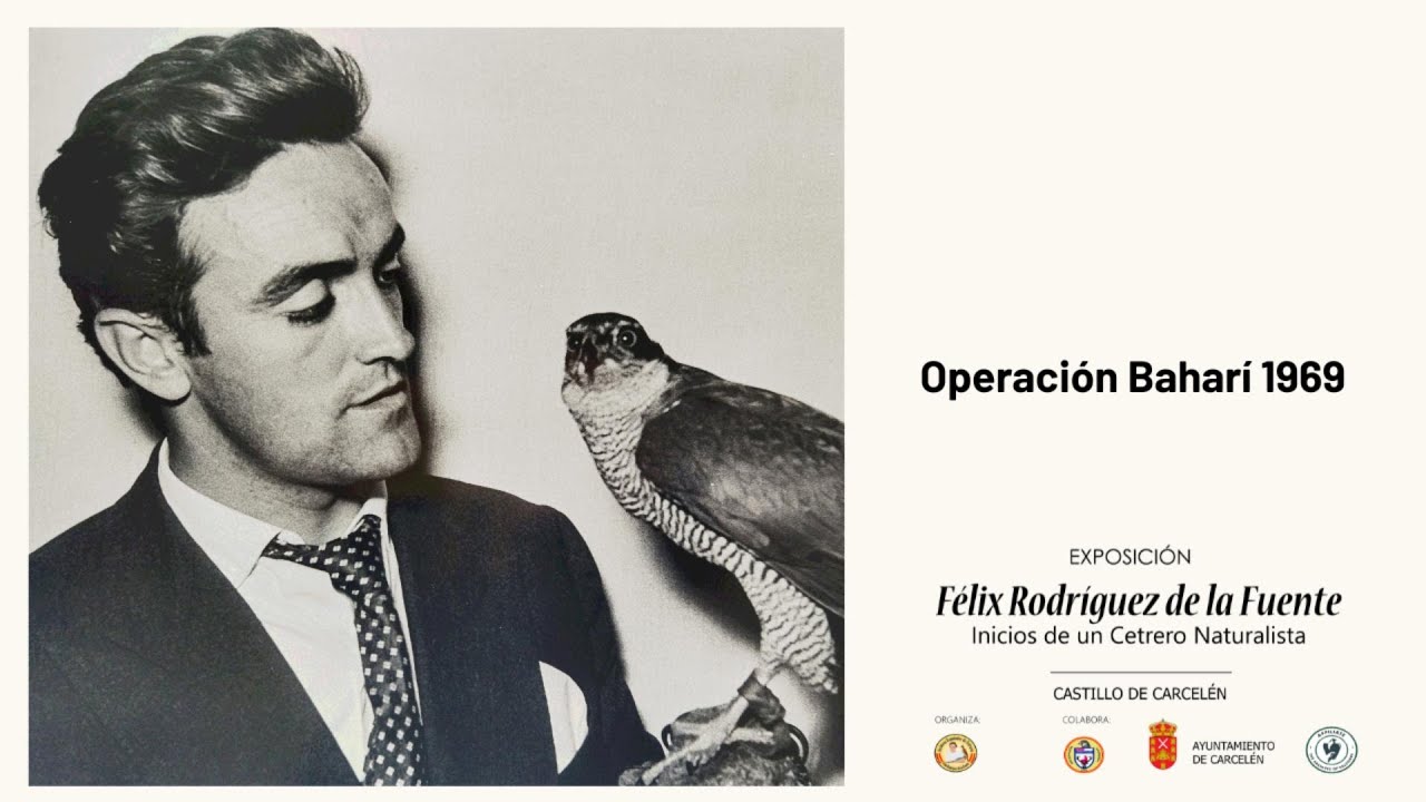 Operación Baharí 1969