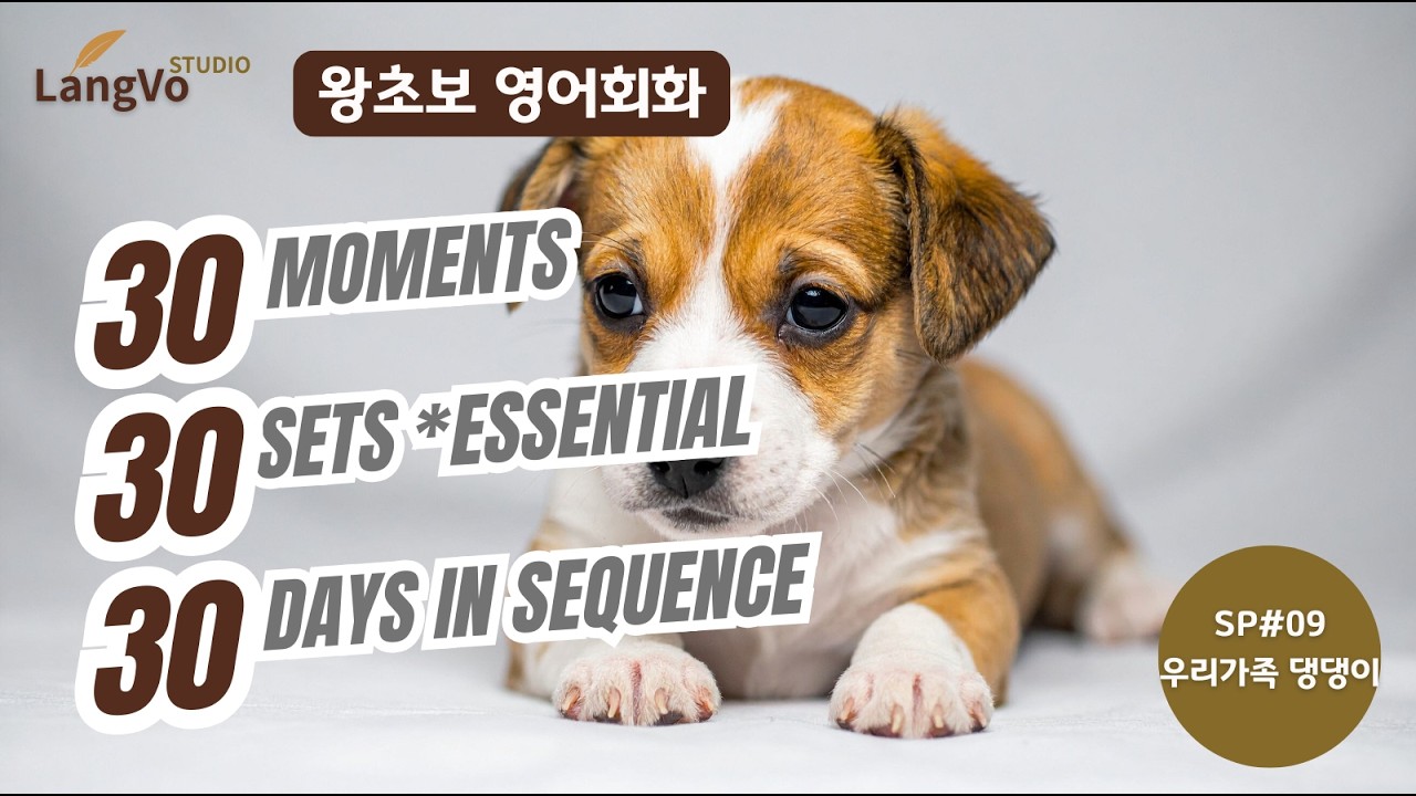 왕초보영어회화 [우리가족 댕댕이] | 영어공부 | 쉐도잉영어 | 편안한 생활영어 | 영어듣기