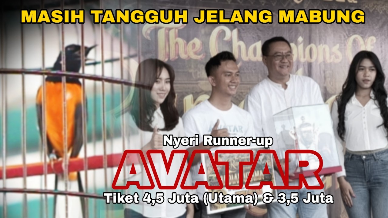 Masih Tangguh Jelang Mabung !! Avatar Runner-up di 2 Kelas !! Ramadhan Kareem Malang