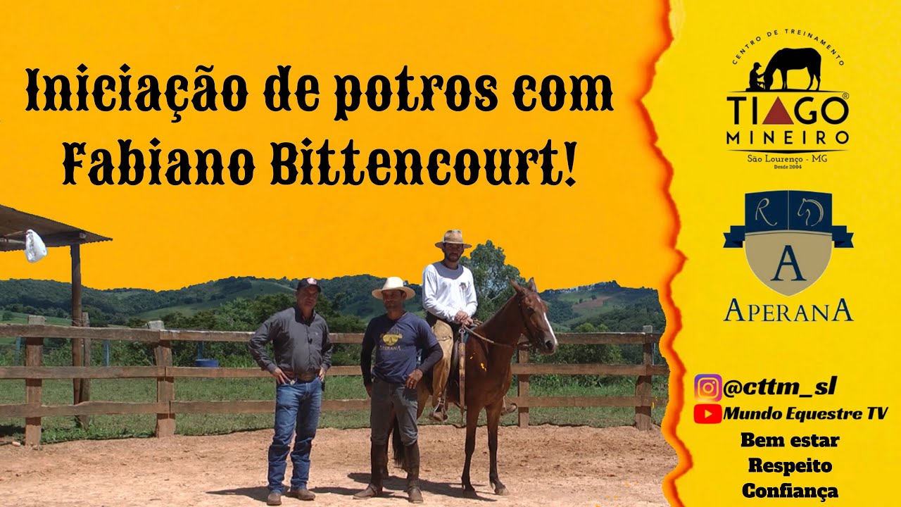 Iniciação de potros com Fabiano Bittencourt do Criatório Aperana.
