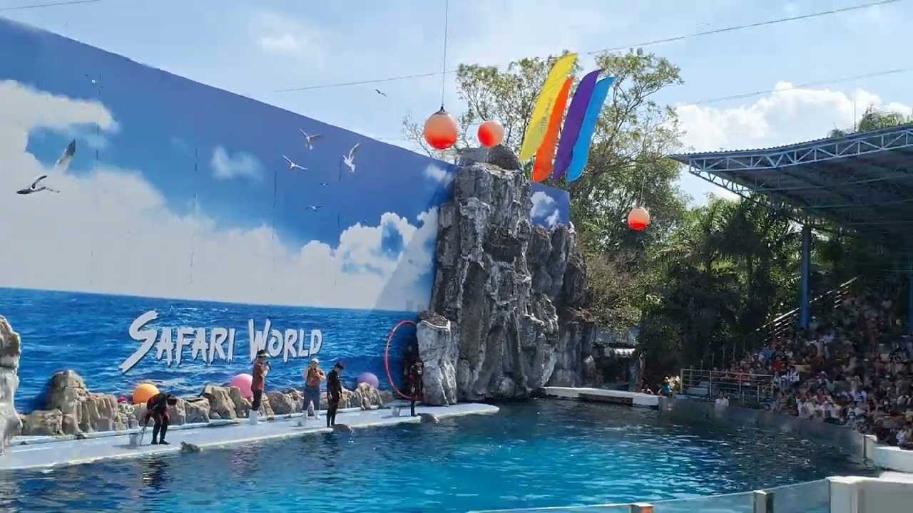 Safari World Dolphin Show 🐬🐬🐬