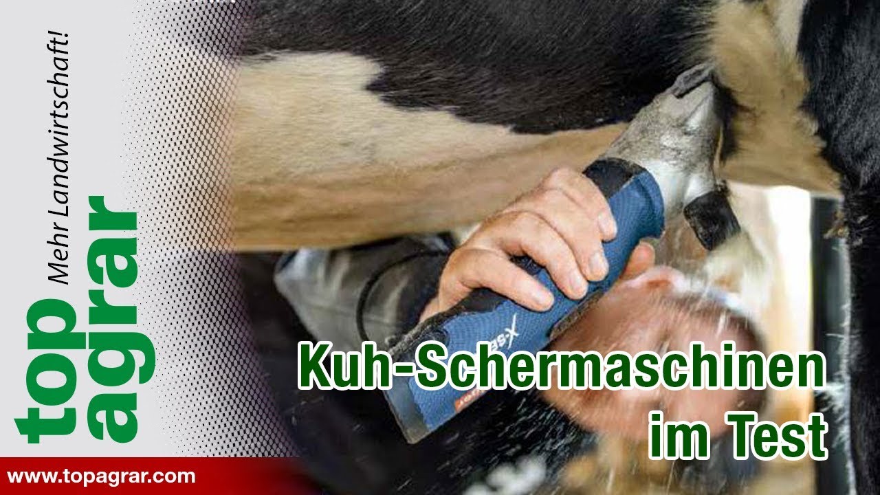 top agrar testet Kuh-Schermaschinen
