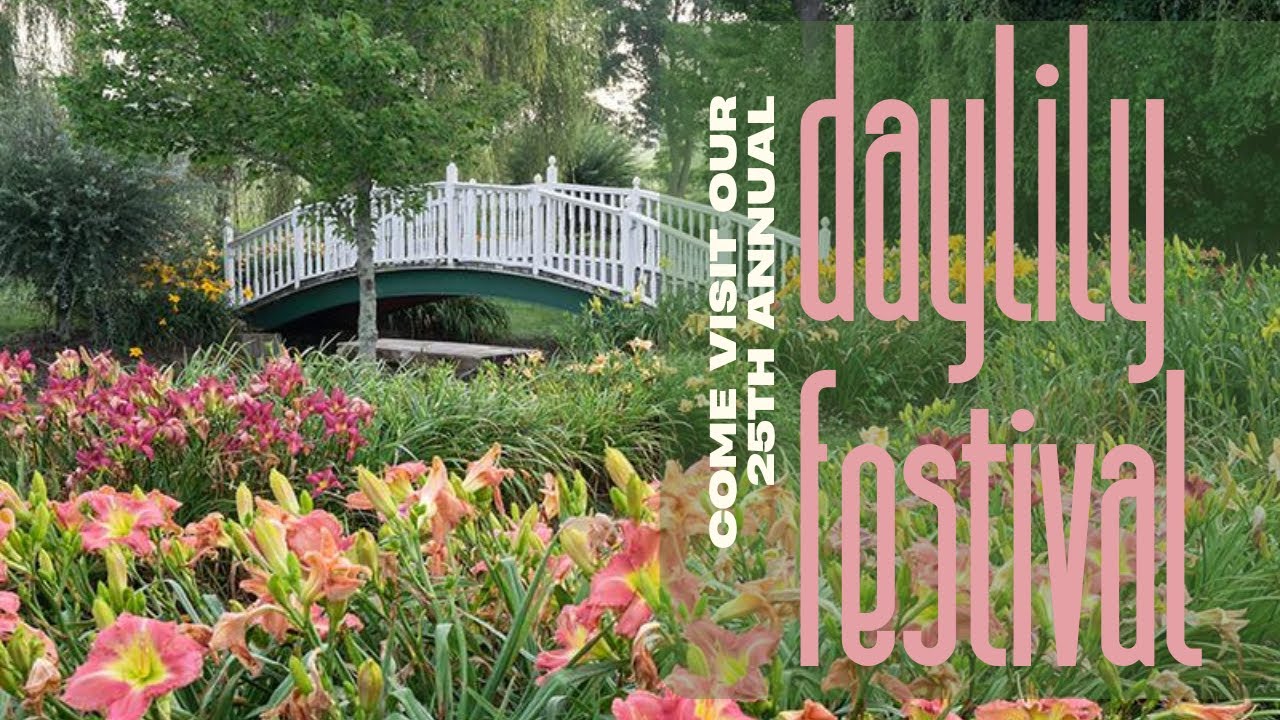 You're invited to our 25th Annual Daylily Festival