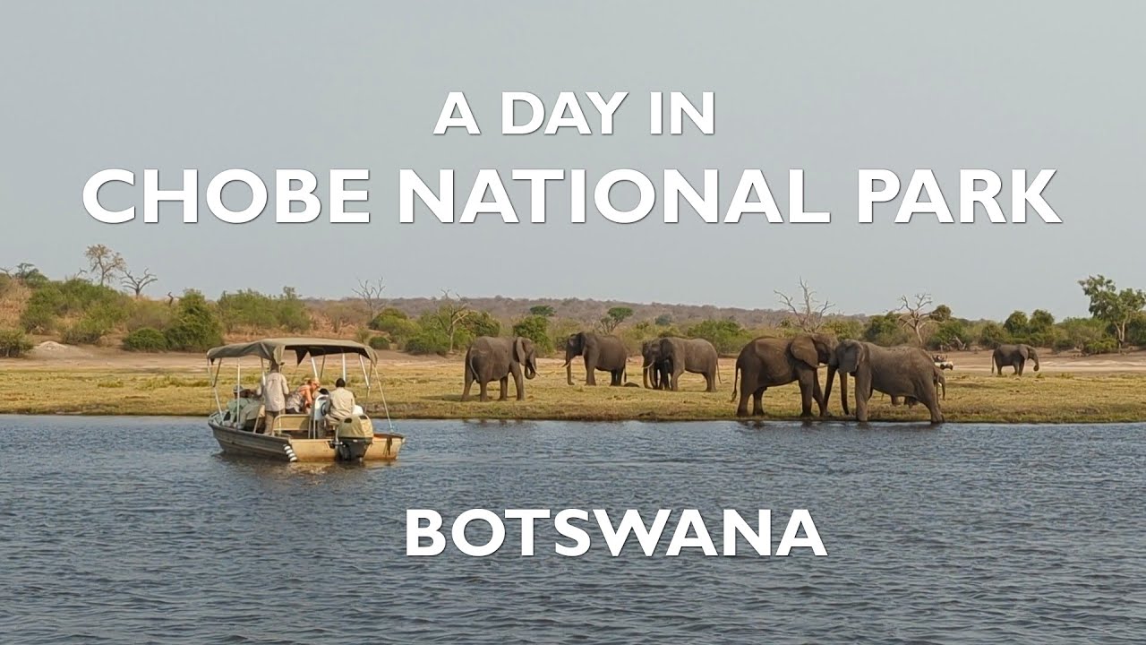 The Serene Beauty of Chobe River and National Park in one day!!