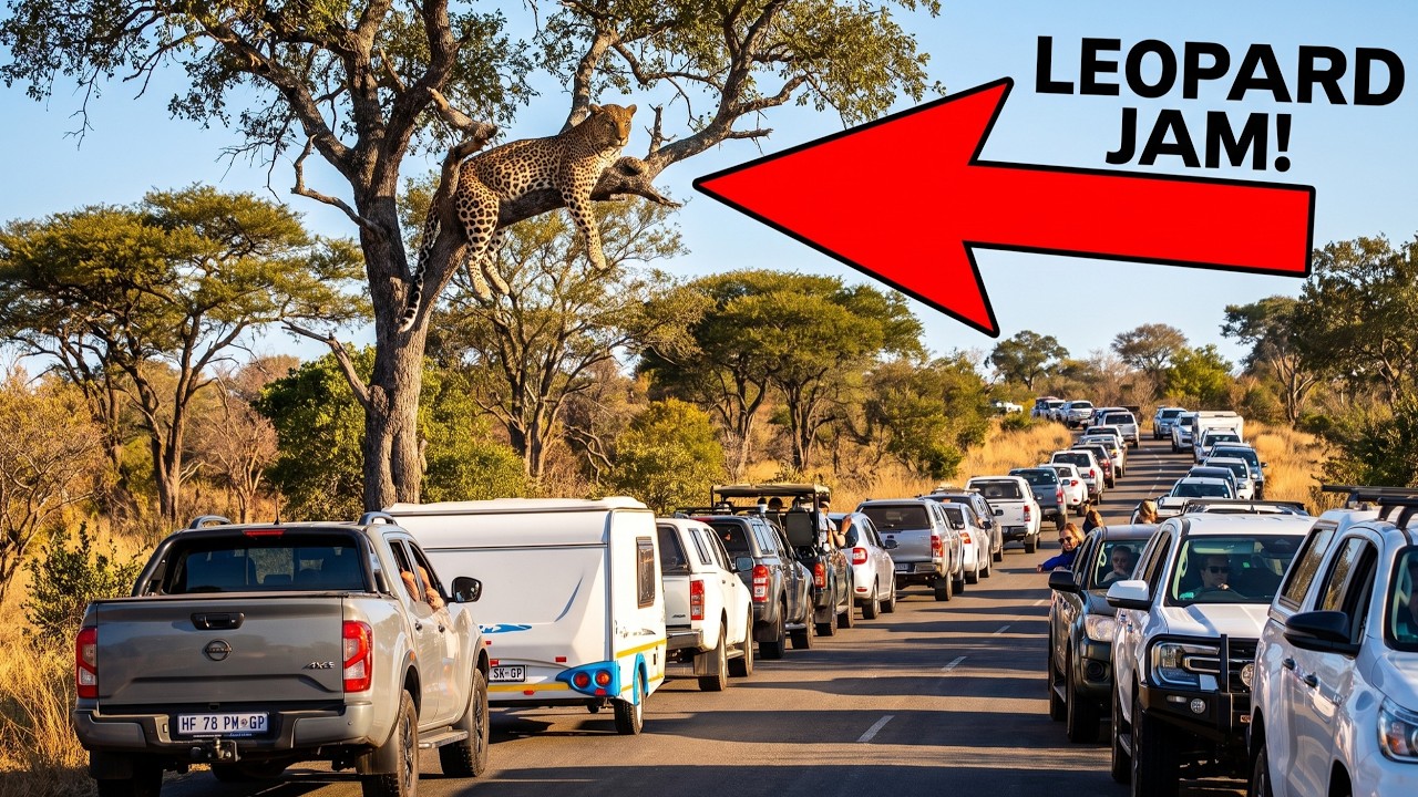South Africa Today on 3 August 2026