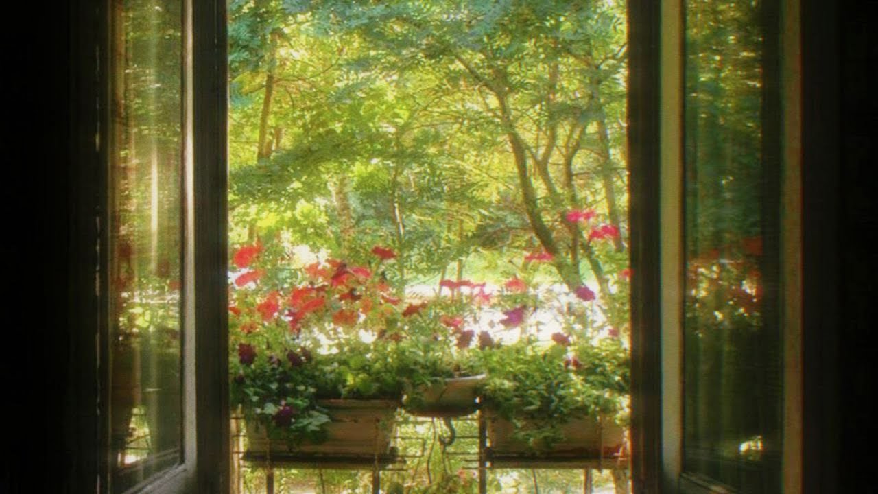 soft melodies for a quiet morning🍃