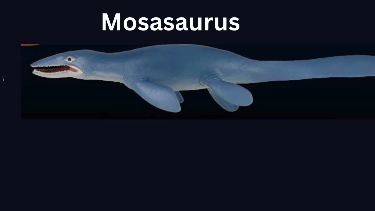 size Comparison Prehistoric sea Creatures