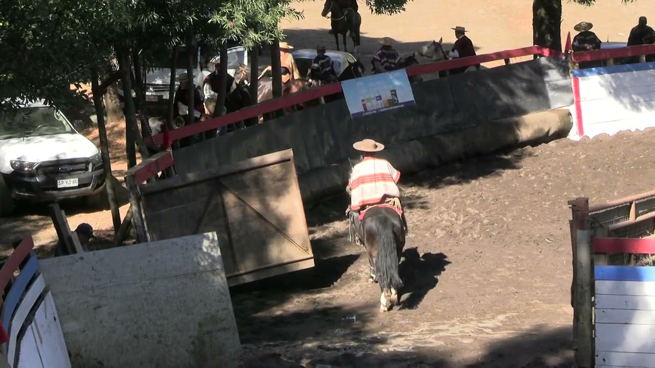 T. 25/26 | Rodeo Lumaco | Segunda Serie Libre | 07 y 08 de febrero