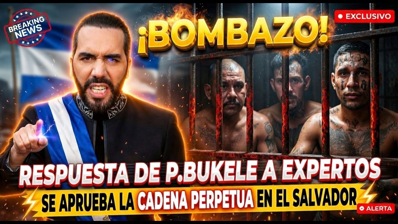 🚨¡ÚLTIMA HORA! ¡BOMBAZO! Respuesta de P. BUKELE a Expertos Internacionales: CAD3N4 PERPETUA en ESA