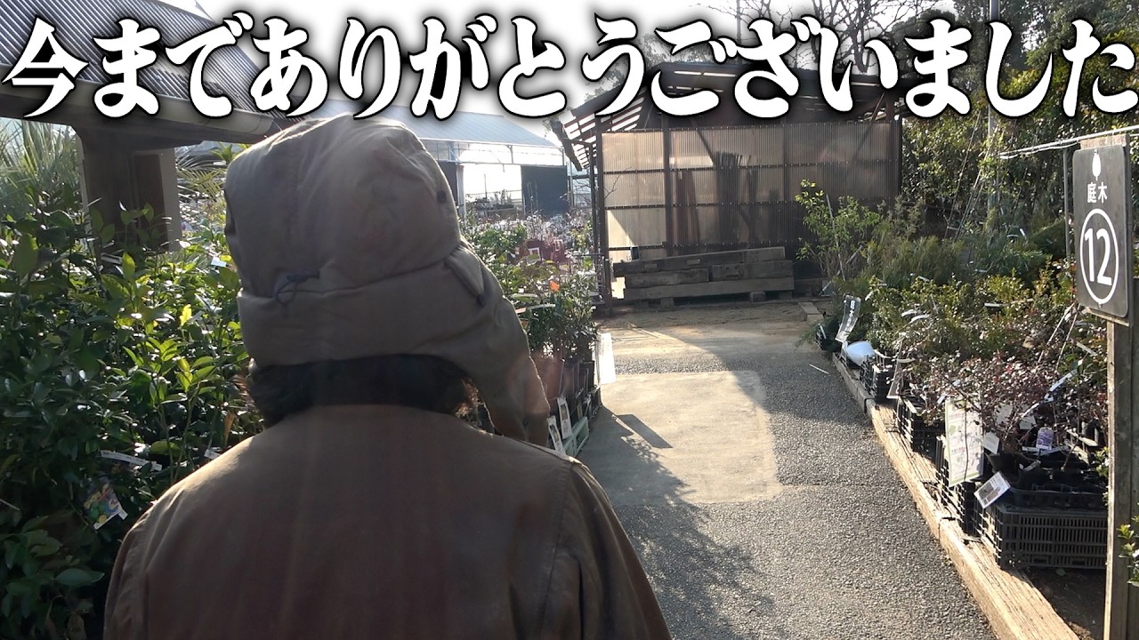 【大事件】余談小屋がなくなりました・・・【カーメン君】【園芸】【ガーデニング】