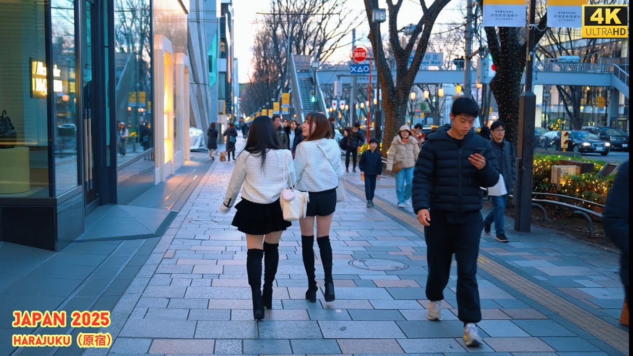 4K HDR Japan travel 2026 | New Year&rsquo;s Day Walk in Harajuku（原宿）Tokyo | Ambience Nature for relaxing