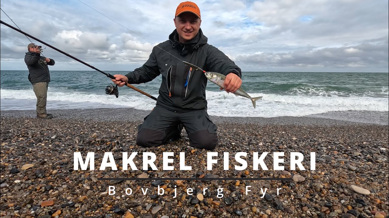 Makrel fiskeri - Bovbjerg fyr - Fang en makrel, hvordan fanges makrel? Få svaret her i videoen