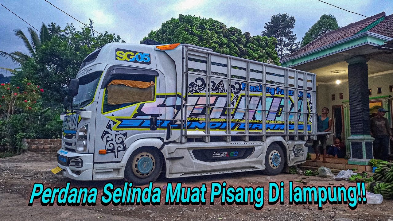 Proses Langsir Pisang Di Lampung!!