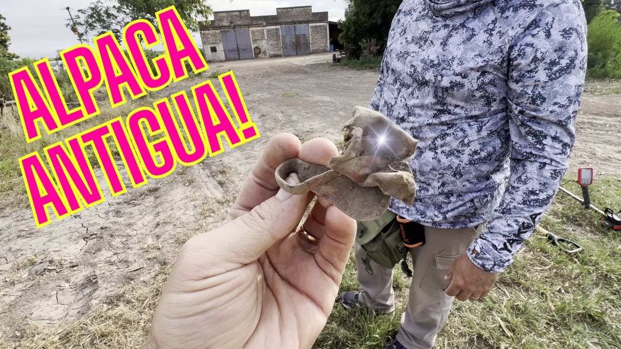La búsqueda de metales en los campos siempre te sorprenderá!