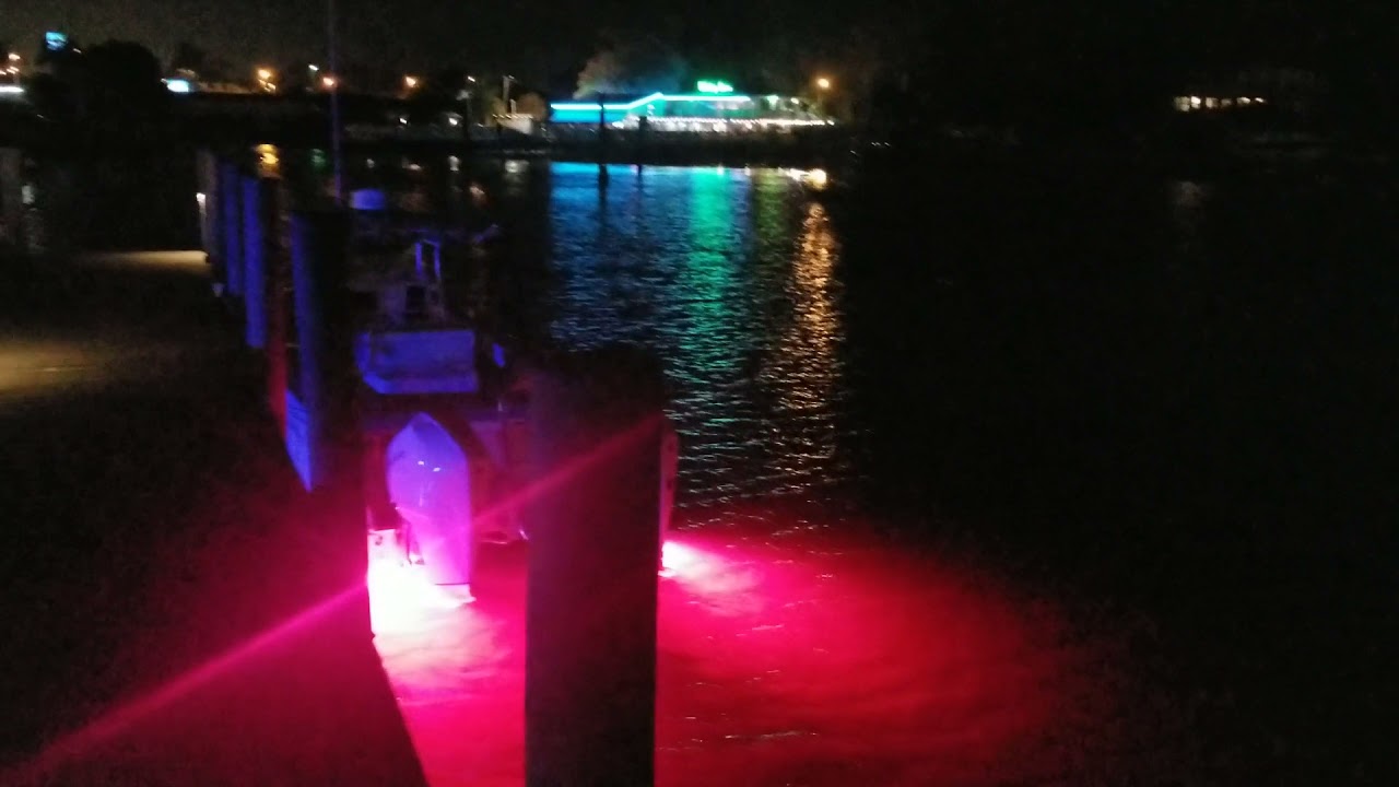 World Cat with Lumitec Seablaze X2 Full Spectrum Underwater Lights