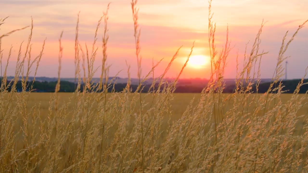 Peaceful Ambient Worship Music | Prayer, Reflection & Gratitude Instrumentals