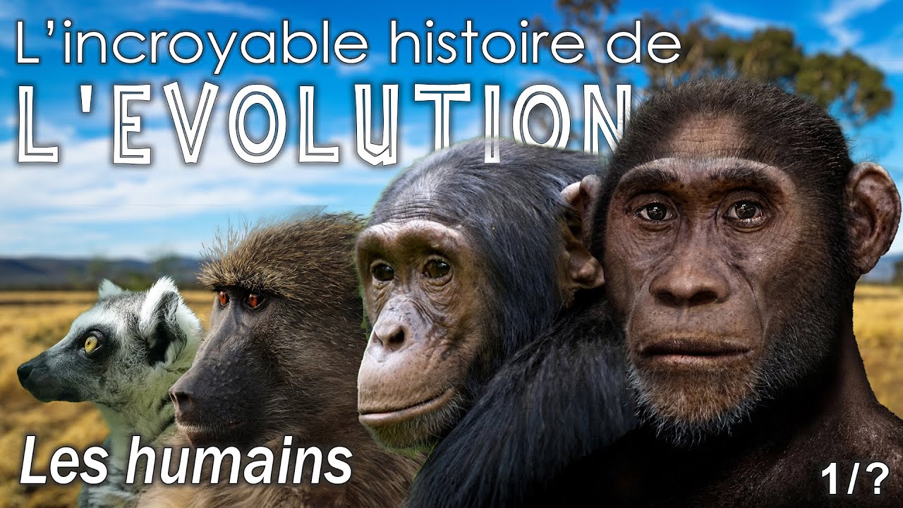 Aux origines des humains - Ep. 1 -  &Eacute;volution de l'homme -  Simplex Pal&eacute;o