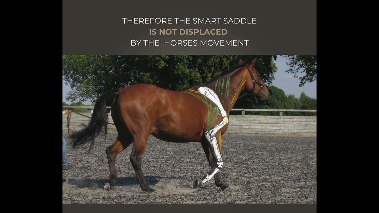 SMART Saddle fully flexible base panels