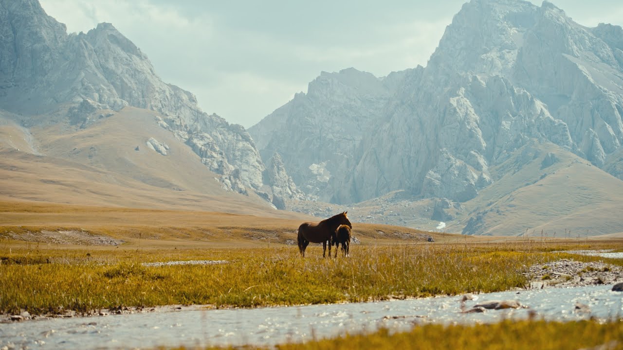 Kyrgyzstan Short Travel Film | Sigma FP