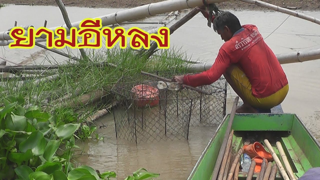 ยามอีหลงดักปลา