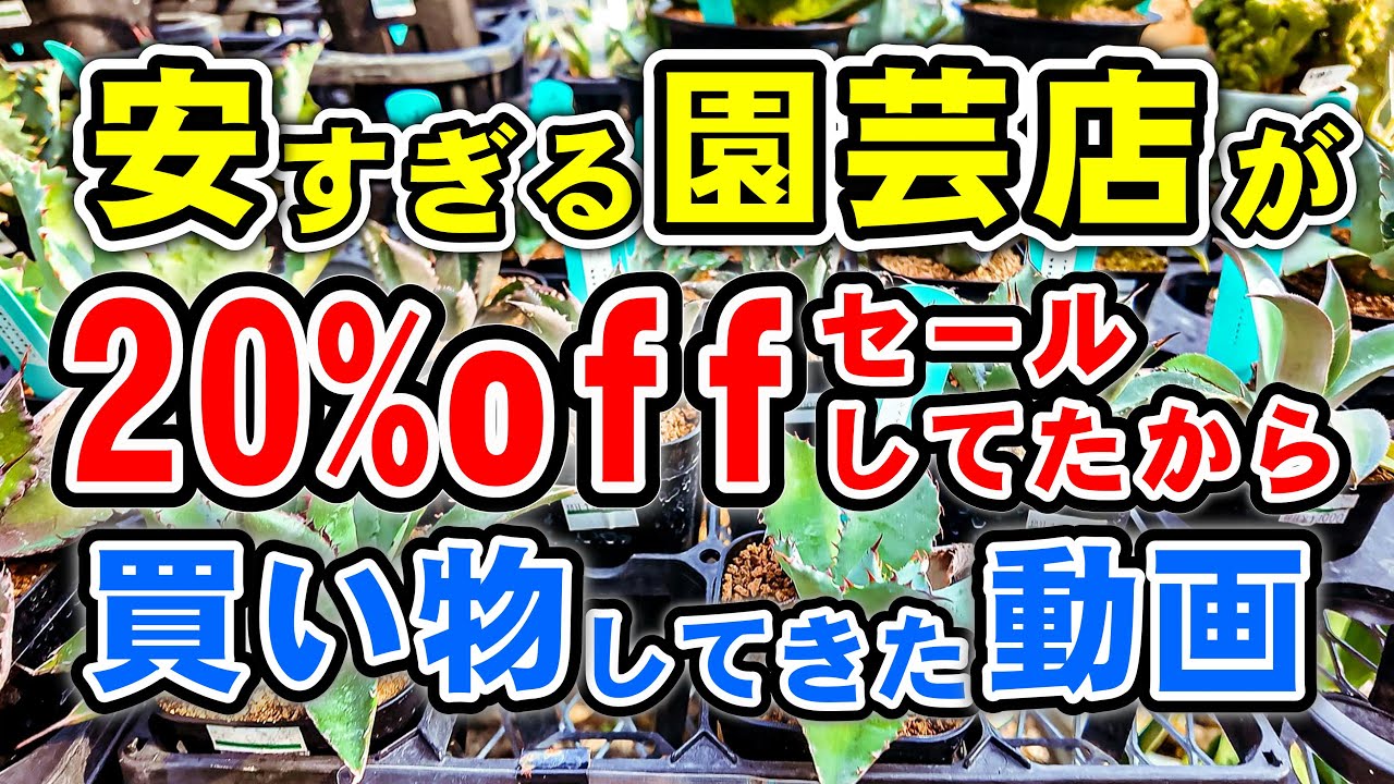 【植レポ】普段から安いのに20%offセールしてたら行っちゃうよねって動画