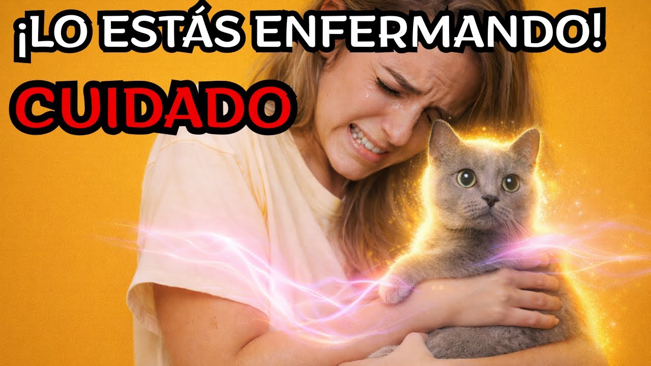 Lo estás enfermando y no lo sabes: 9 errores que tu gato no te perdona..