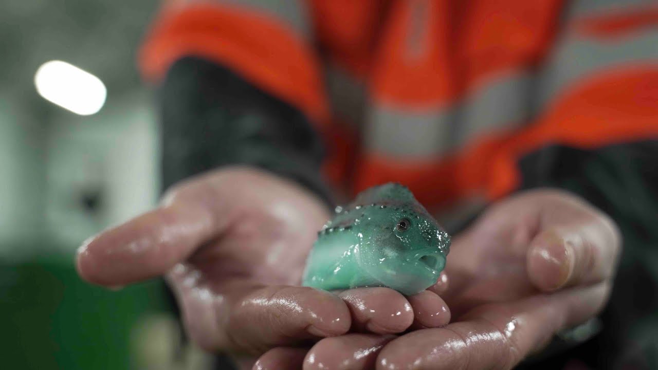 Kjemiprosess og laboratoriefag - Brødrene Karlsen