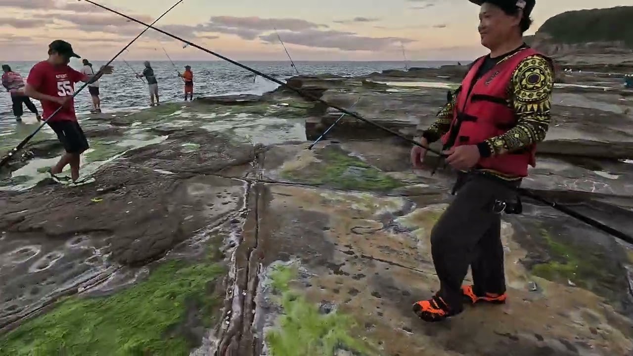 How to catch blue (slimy)mackerel 
